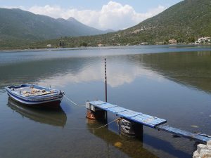 boat and boarding