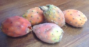 pricklypears